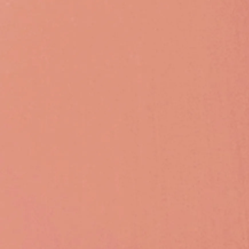 Perfect Moisture Lipstick 225 Rose Beige 4,5g