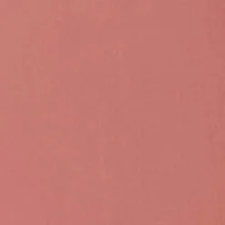 Perfect Moisture Lipstick 012 Velvet Nude 4g