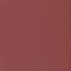 Perfect Moisture Lipstick 218 Mocha Mauve 4,5g