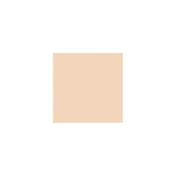 Perfect Teint Concealer #5 Light Peach 2ml