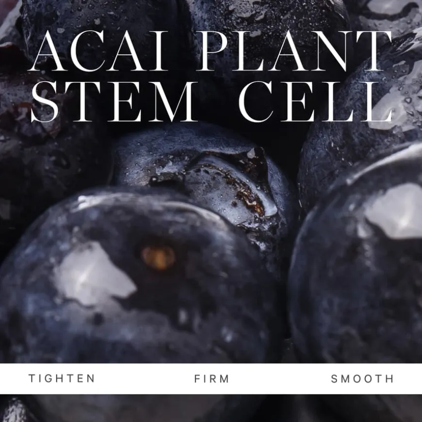 Plant Stem Cell Retinol Alternative Moisturizer 15ml