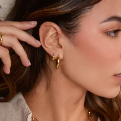 Polished Chubby Mid-Size Hoops