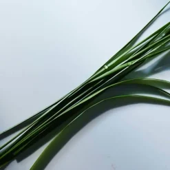 Polo Blue Parfum 40ml