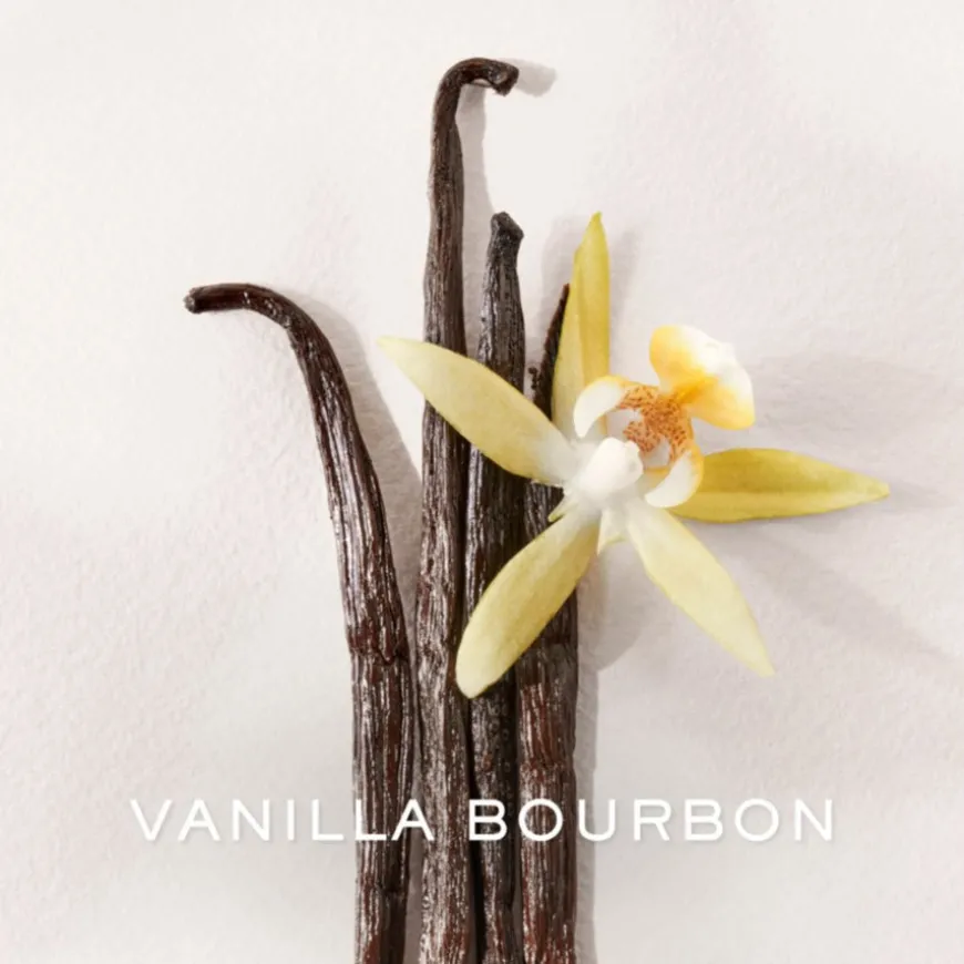 Polo Earth Antilles Vetiver Eau De Toilette 40ml