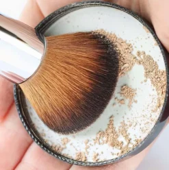 Powder Brush