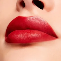 Powder Kiss Velvet Blur Slim Stick Dubonnet Buzz 2g
