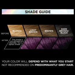 Préférence Vivid Colours Permanent Color For Normal Hair 3.161 Magnetic Plum