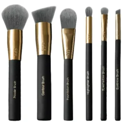 Pro Brush Essentials Kit