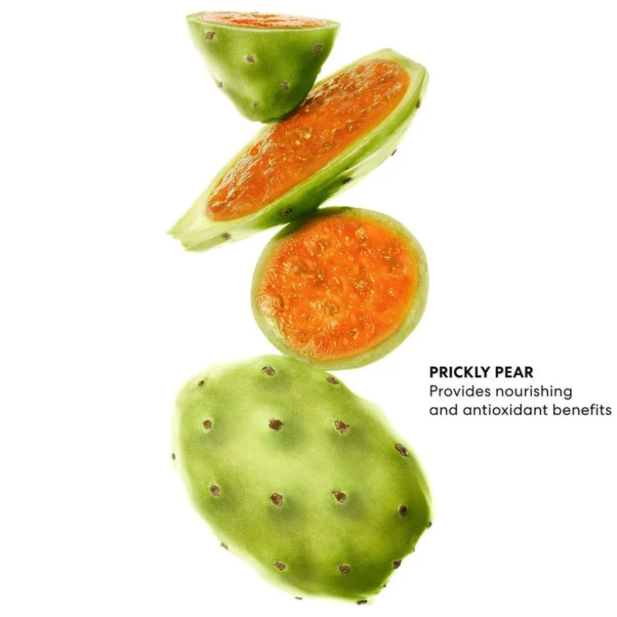 Pureness Gel Cleanser 120ml