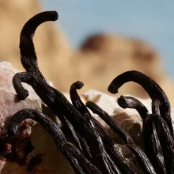 Q By Dolce&Gabbana Parfum 50ml