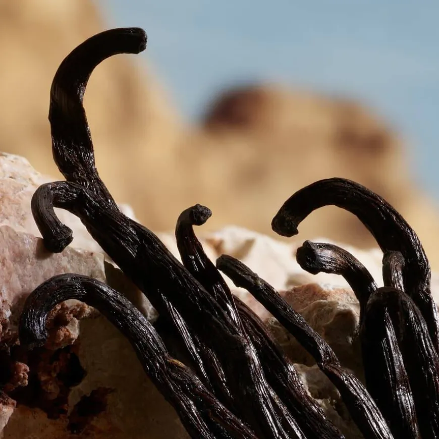 Q By Dolce&Gabbana Parfum 100ml