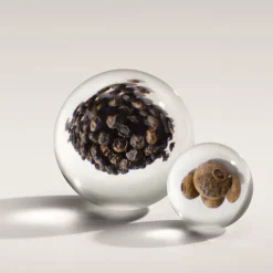 Re-Charge Black Pepper Eau de Parfum 100ml