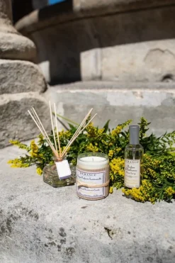 Reed Diffuser Mimosa In Bloom 100ml