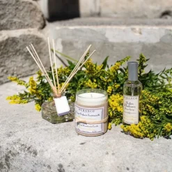 Reed Diffuser Mimosa In Bloom 100ml