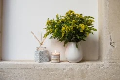 Reed Diffuser Mimosa In Bloom 100ml