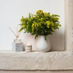 Reed Diffuser Mimosa In Bloom 100ml