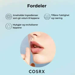 Refresh AHA BHA Vitamin C Lip Plumper 20g