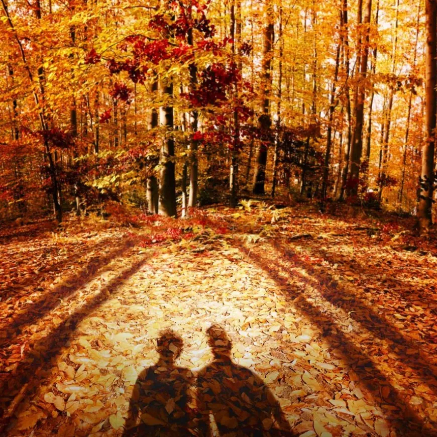 Replica Autumn Vibes Eau De Toilette 100ml