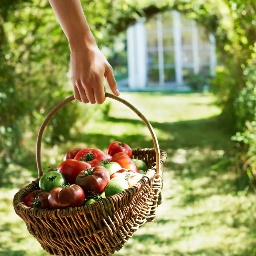 Replica From the Garden Eau De Toilette 100ml