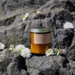 Saltwater Jasmine Standard Soy Candle 213ml