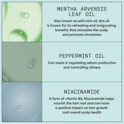 Scalp Recovery™ Kit