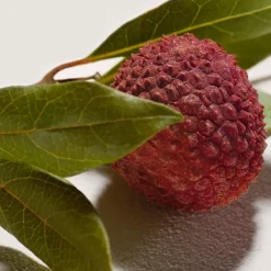 Signature Eau De Parfum Refillable 100ml