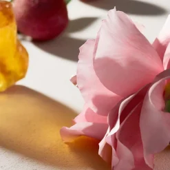 Signature Eau De Parfum Refillable 100ml