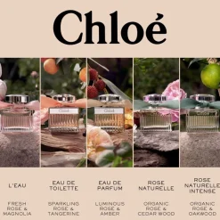 Signature Eau De Parfum Refill 150ml