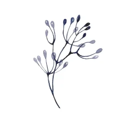 Single Gel Polish Blue Vanilla 8,5ml