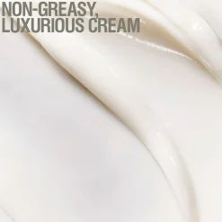 Skin Renewal Day Cream 65ml