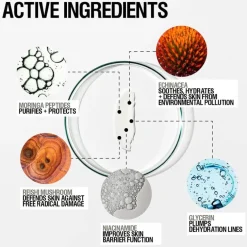 Skin Renewal Day Cream 65ml