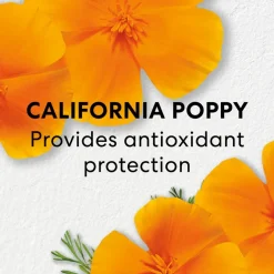 Skinlongevity Long Life Herb Serum 50ml