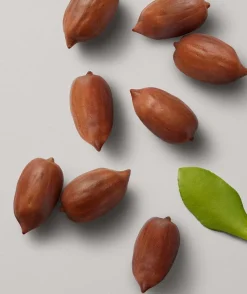 Smoothing Conditioner 75ml