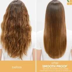 SmoothProof Routine For Frizzy Hair With Oil