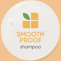 SmoothProof Routine For Frizzy Hair