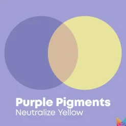 So Silver Pigmented Conditioner 300ml