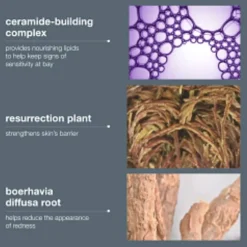 Stabilizing Repair Cream 50ml