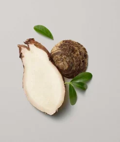 Strengthening Mask 500ml