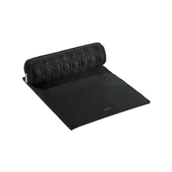 Styler Carry Case & Heat Mat