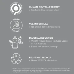 StyleSign Strong Hairspray 75ml