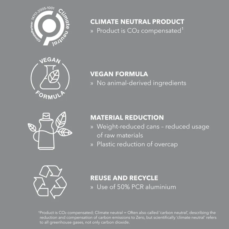 StyleSign Working Hairspray 500ml