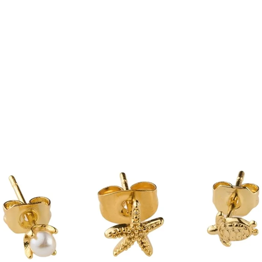 Summer Ocean Earrings Set