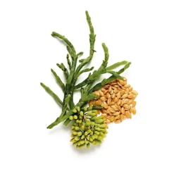 Superstart Skin Renewal Booster 50ml