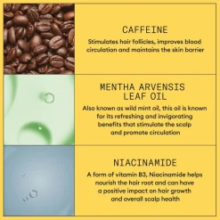 System 1 Scalp Treatment 100ml