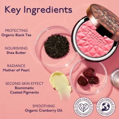 Tea to Tan Powder Blush N2 Melon Melody 7ml