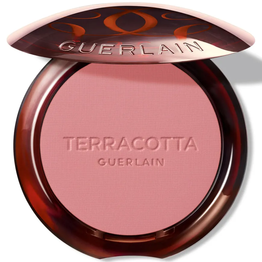 Terracotta Blush 01 5g