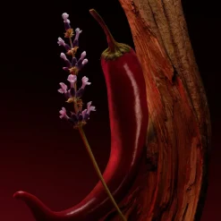 The Scent Elixir Parfum 50ml