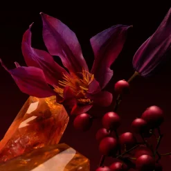 The Scent For Her Elixir Eau De Parfum 30m