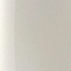 The Wonder Nail Polish Quick Dry & Longwear 100 Pearly Frost 5ml