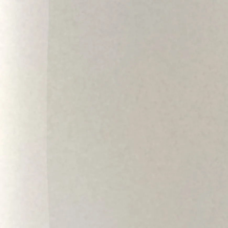 The Wonder Nail Polish Quick Dry & Longwear 100 Pearly Frost 5ml